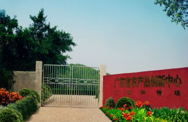 蓝狮在线集团研发基地